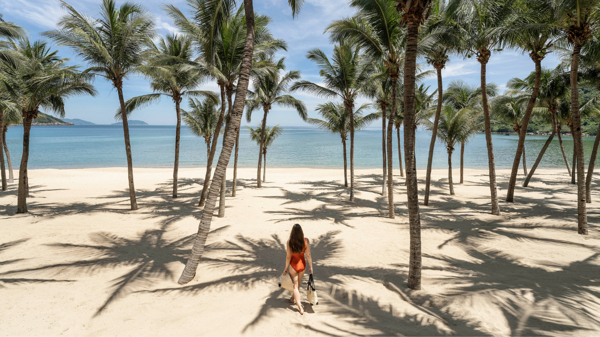 IC Danang